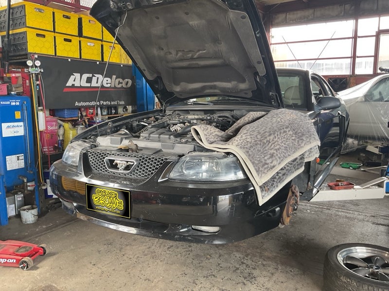 サムネール画像